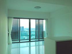 Soleil @ Sinaran (D11), Condominium #153821232